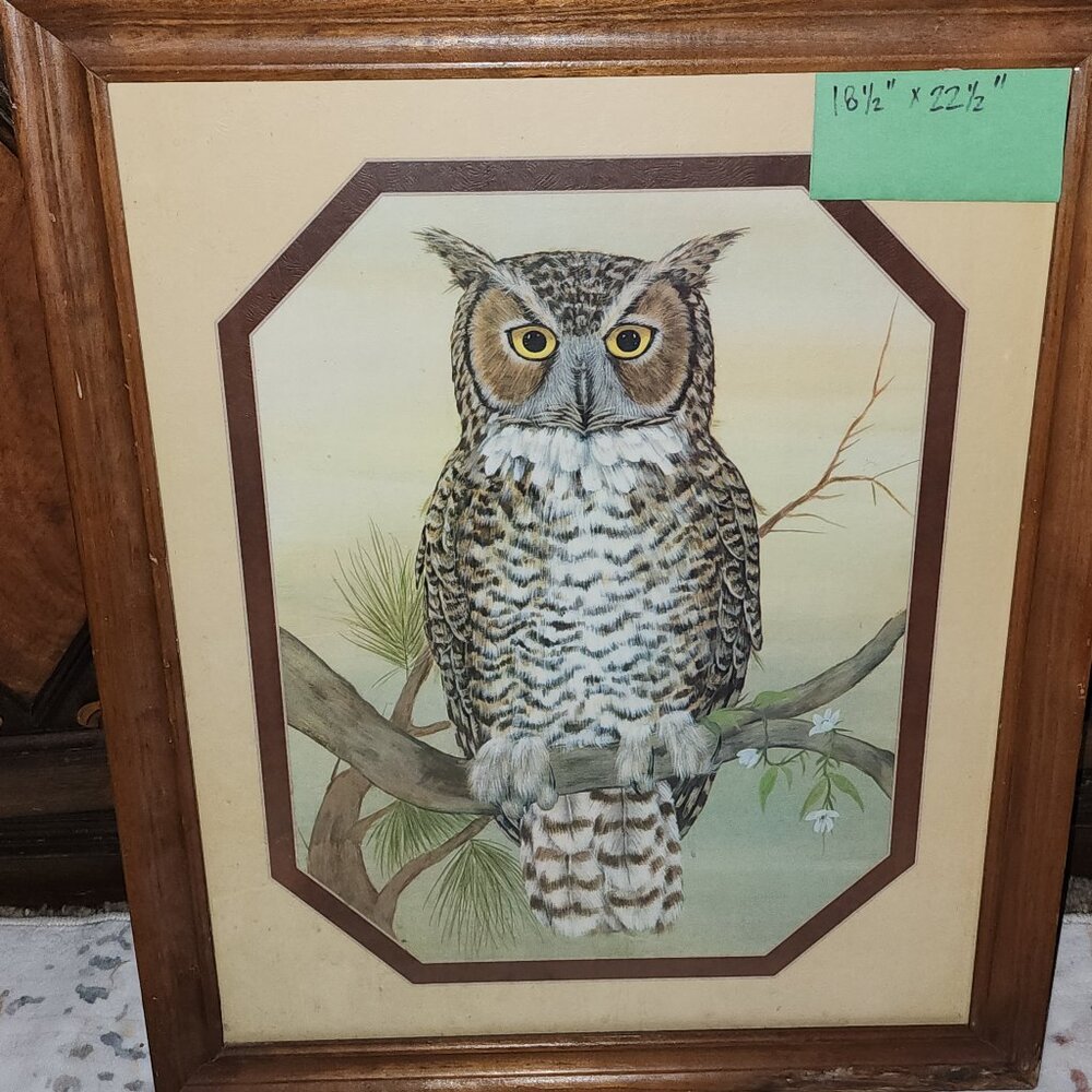Framed owl
